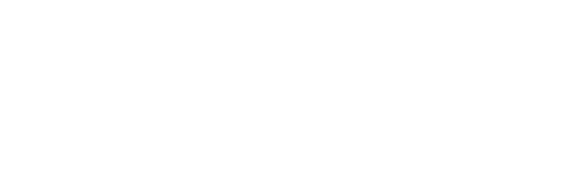 logo dmsi en blanco