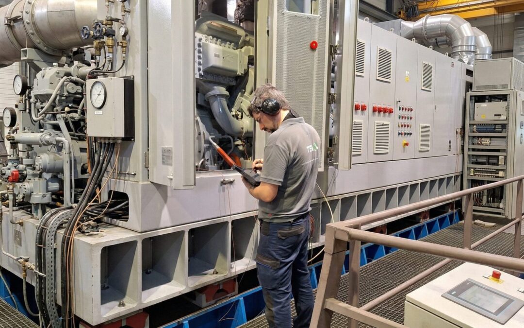 Analista de Vibraciones Categoría I (ISO 18436-2)