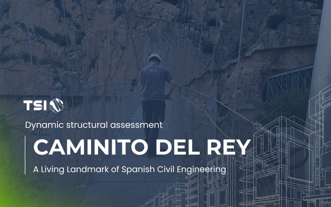 Caminito del Rey: Engineering, Structural Innovation and Dynamic Monitoring in Spain